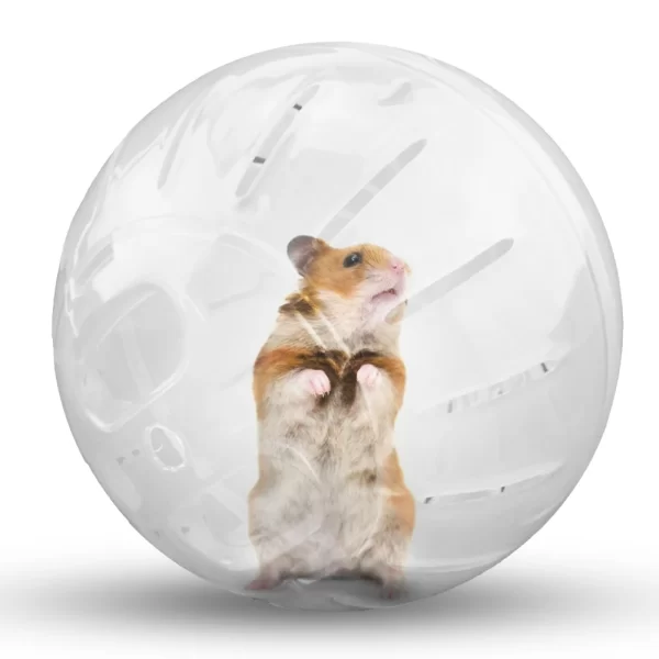 Clear Plastic Pet Rodent Mini Jogging Ball Hamster Exercise Running Ball Toys Small Animal Toy Play House Exercise Toy - Image 6