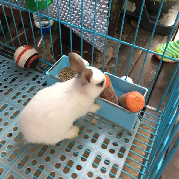 Pet Hamster Cage Mat
