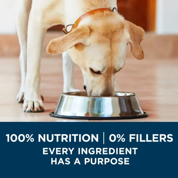 Purina One +Plus Dry Dog Food for Large  Adult Dogs High Protein, Real Chicken, 31.1 lb Bag - Image 5