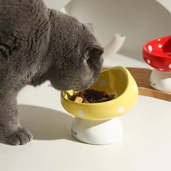Cat Elevated Food Bowl - Image 3
