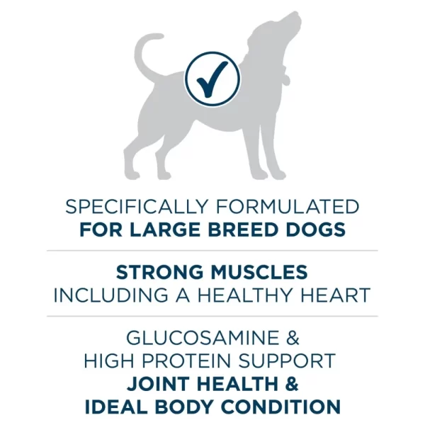 Purina One +Plus Dry Dog Food for Large  Adult Dogs High Protein, Real Chicken, 31.1 lb Bag - Image 2