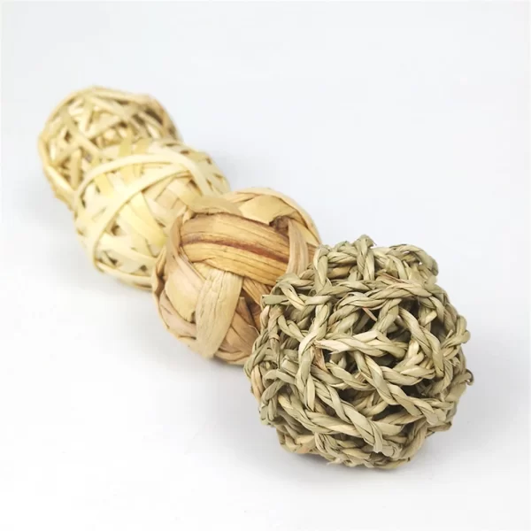 Pet Rabbit Hamster Chewing Ball - Image 3
