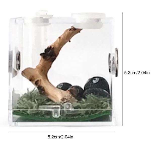 Reptiles Breeding Box - Image 8