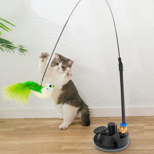 Simulation Feather Bird with Bell