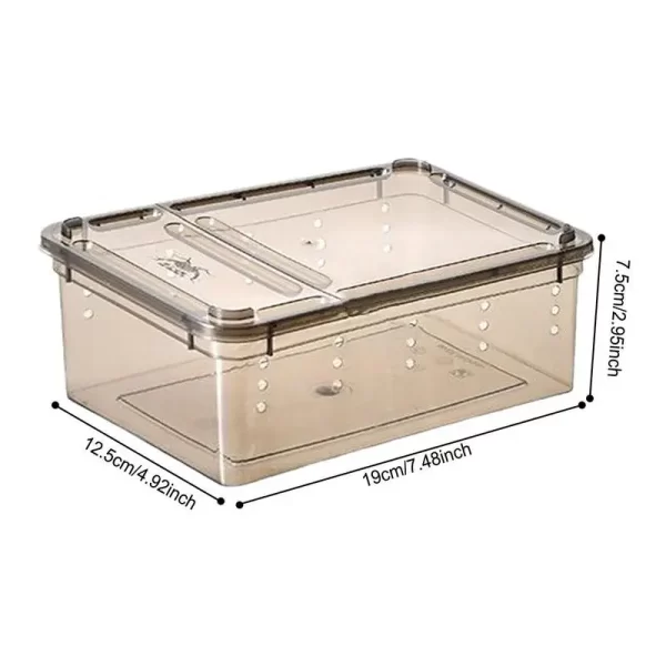 Terrarium For Reptiles - Image 6