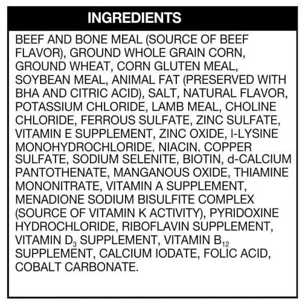 Roy High Protein with Beef & Lamb Flavor Dry Dog Food - Image 4