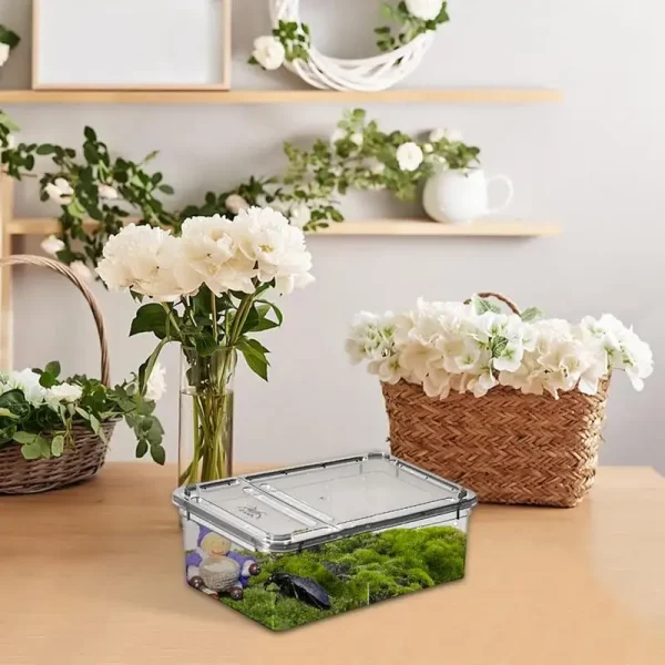 Terrarium For Reptiles - Image 4