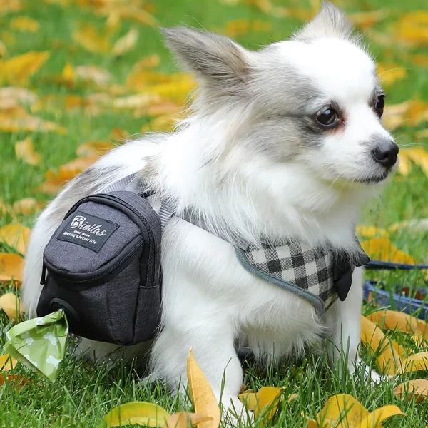Pet Dog Treat Pouch Poop Dispenser Portable Multifunction Dog training bag Outdoor Travel Dog Bag Durable Pet accessories - Image 5