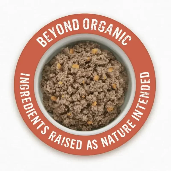 Organic Wet Dog Food Chicken Sweet Potato, 13 oz Cans (12 Pack) - Image 2