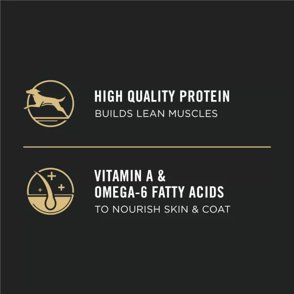 Purina Pro Plan Puppy Dry Dog Food High Protein, Real Chicken & Rice, 34 lb Bag - Image 5