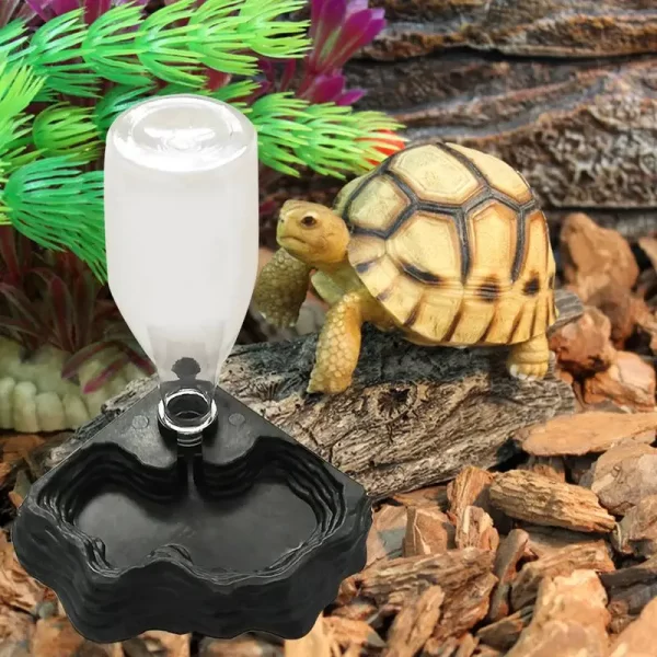 Pet Reptiles Turtles Feeder - Image 3