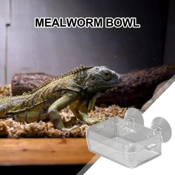 Reptile Food Dish Bowl - Image 5