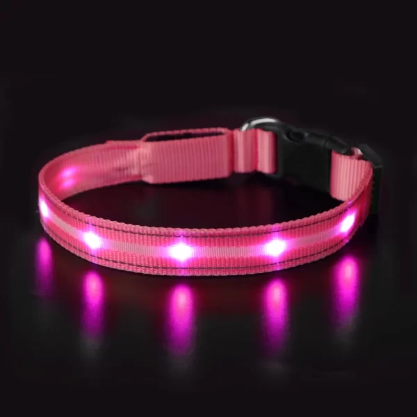 MASBRILL Light Up Dog Collar Waterproof USB Rechargeable Glowing Adjustable Night Safety Nylon Luminous LED Bright Pet Collars - Image 9