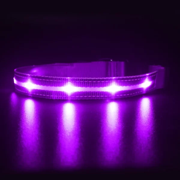 MASBRILL Light Up Dog Collar Waterproof USB Rechargeable Glowing Adjustable Night Safety Nylon Luminous LED Bright Pet Collars - Image 6