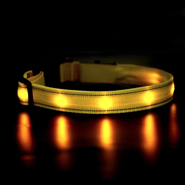 MASBRILL Light Up Dog Collar Waterproof USB Rechargeable Glowing Adjustable Night Safety Nylon Luminous LED Bright Pet Collars - Image 5