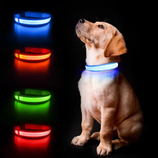 MASBRILL LED Dog Collar Luminous Pet Supplies Dog Collar Waterpoof Safety Glow Necklace Flashing Lighting Up Collars Accessories - Image 3