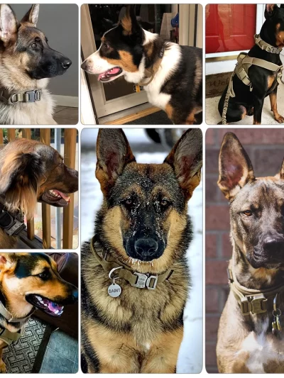 Dog Training Collar Adjustable Tactical Dog Collar And Leash Set Control Handle Pet Lead Collar For Dogs