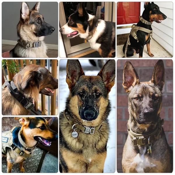 Dog Training Collar Adjustable Tactical Dog Collar And Leash Set Control Handle Pet Lead Collar For Dogs