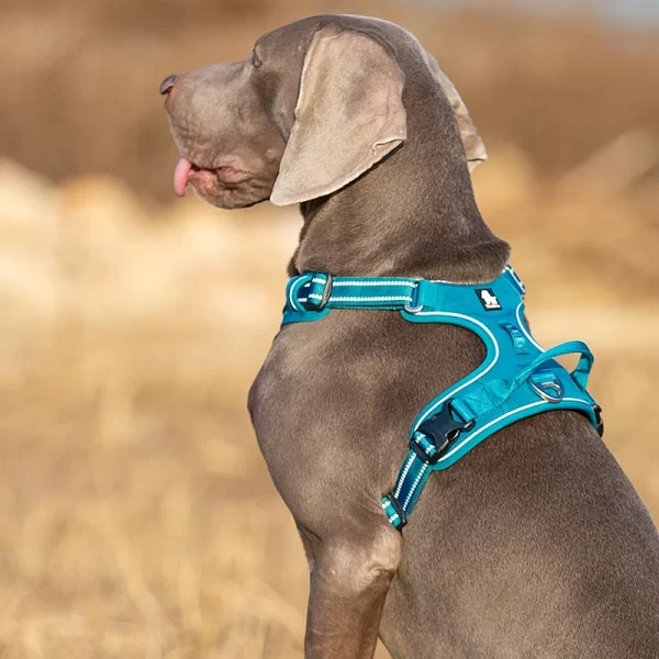 Truelove Pet Harness Nylon Webbing with 3M Reflection Adjustable Aluminum Alloy for Big Medium Dog - Image 5