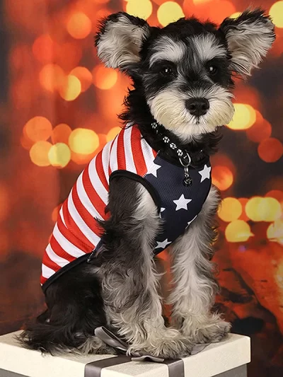 American Flag Patriotic Dog Bandana Scarf Set with Bow Tie Adjustable Pet Neckerchief for Small Medium Large Dogs Cats