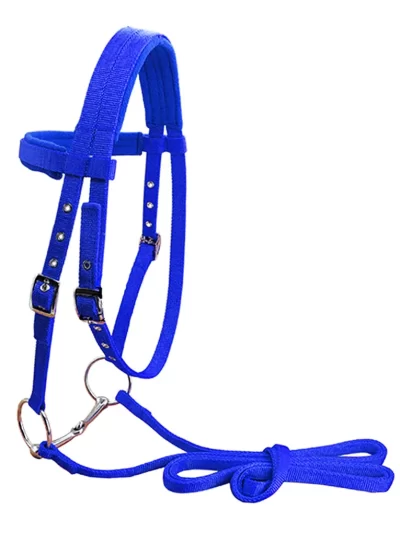Animal Bridle Headstall Soft Padded Adjustable Harness Reusable Washable Outdoor Snaffle Equipment Gifts Blue S