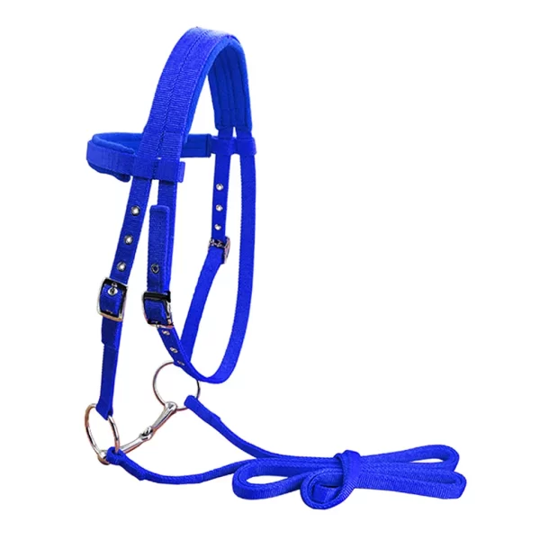 Animal Bridle Headstall Soft Padded Adjustable Harness Reusable Washable Outdoor Snaffle Equipment Gifts Blue S