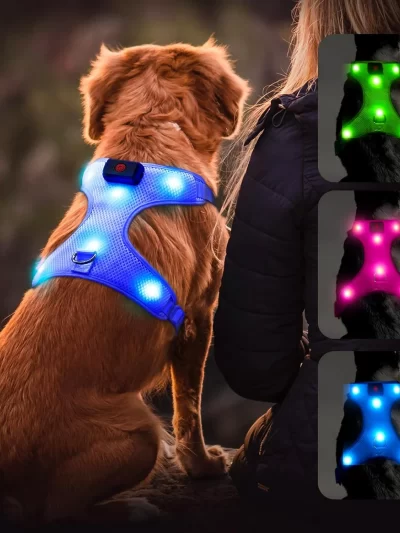Illuminated Reflective Blue Glowing LED Dog Harness with Adjustable Soft Padded Design - No-Pull, USB Rechargeable