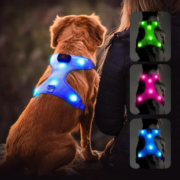 Illuminated Reflective Blue Glowing LED Dog Harness with Adjustable Soft Padded Design - No-Pull, USB Rechargeable