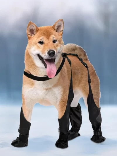 Outdoor Walking Dog Boot Leggings for Small Medium Large Dogs Suspender Boots Waterproof Snowy Dog Paw Protects Boot Covers