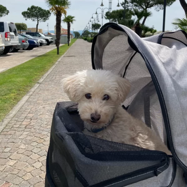 Wedyvko Portable pet trolleys 3 Wheels Pet Strollers Outdoor Travel Carrier Cat Dog Cart Strollers - Image 2
