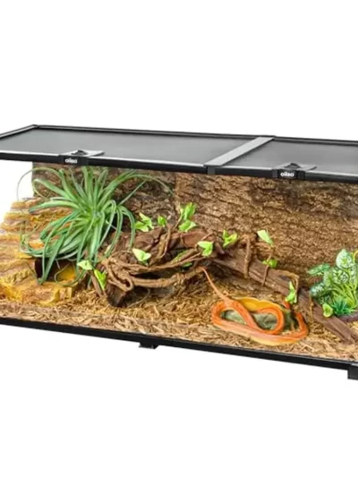 Reptile Terrarium 30x12x12 Glass Tank Top Feeding Dual Sliding Door Vent Easy Clean Kit Snake Lizard Bearded Dragon Hedgehog