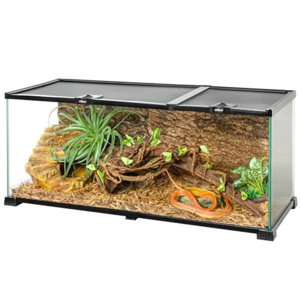 Reptile Terrarium 30x12x12 Glass Tank Top Feeding Dual Sliding Door Vent Easy Clean Kit Snake Lizard Bearded Dragon Hedgehog