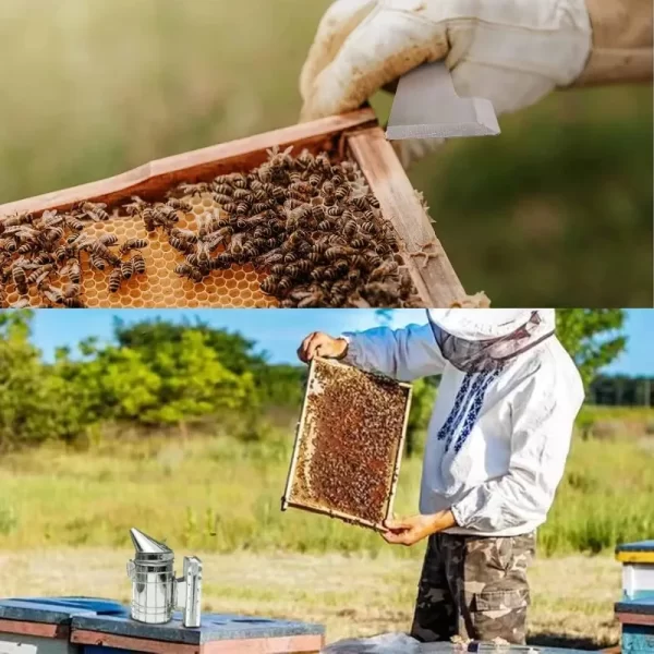 Popular.Come with Organizer Tote Beekeeping Tools kit for Beginner Starter kit Durable bee Supplies All-in Gift Set 10 Pcs - Image 5