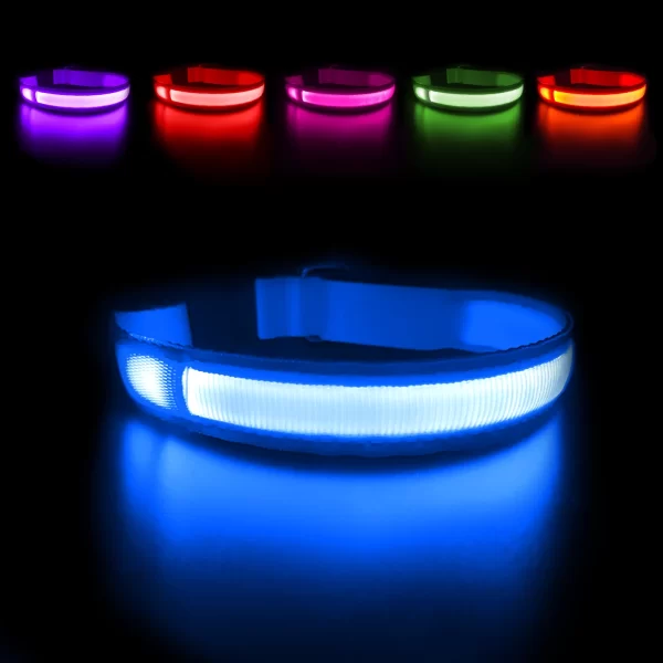 MASBRILL LED Dog Collar Luminous Pet Supplies Dog Collar Waterpoof Safety Glow Necklace Flashing Lighting Up Collars Accessories - Image 2