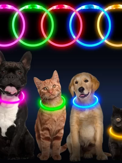 HiGuard LED Dog/Cat Collar USB Rechargeable Glowing Collars Lighted Up Safety Necklace Glow in the Dark