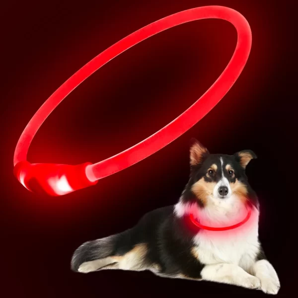 HiGuard LED Dog/Cat Collar USB Rechargeable Glowing Collars Lighted Up Safety Necklace Glow in the Dark - Image 9
