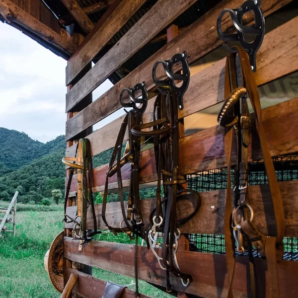 Horse Bridle Rack Metal Bridle Bracket Wall Mounted Bridle Hooks Horse Tack Storage Halter Hanger Horse Barn Supplies - Image 8