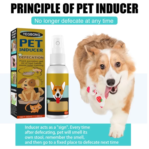 Dog Potty Training Spray Cats Kitten Outdoor Urine Poops Stool Location Helps Puppies Toilet Pet Positioning Defecation Inducer - Image 3
