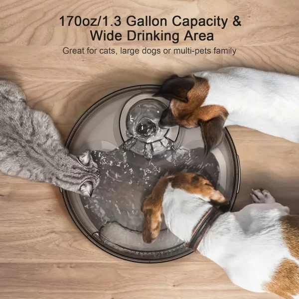 NPET DF10 Dog Water Fountain, 170oz/1.3Gallon/5L Large Automatic Pet Water Dispenser Dog Water Bowl for Dogs, Multiple Pets - Image 3