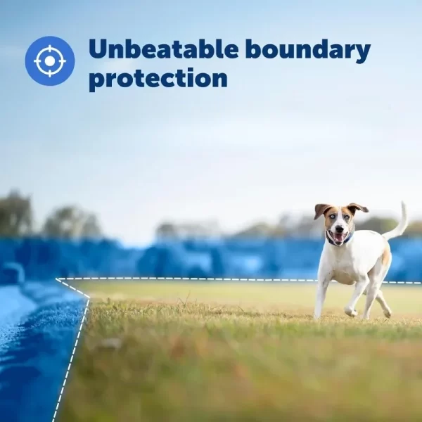 Guardian GPS + Tracking Dog Fence Collar Pet Safe GPS Dog Collar Fence System, GPS Dog Collar Fence System - Image 2