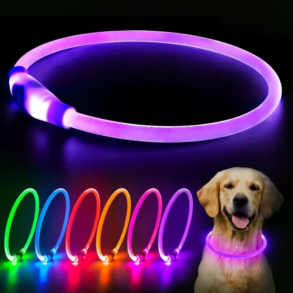 HiGuard LED Dog/Cat Collar USB Rechargeable Glowing Collars Lighted Up Safety Necklace Glow in the Dark - Image 7