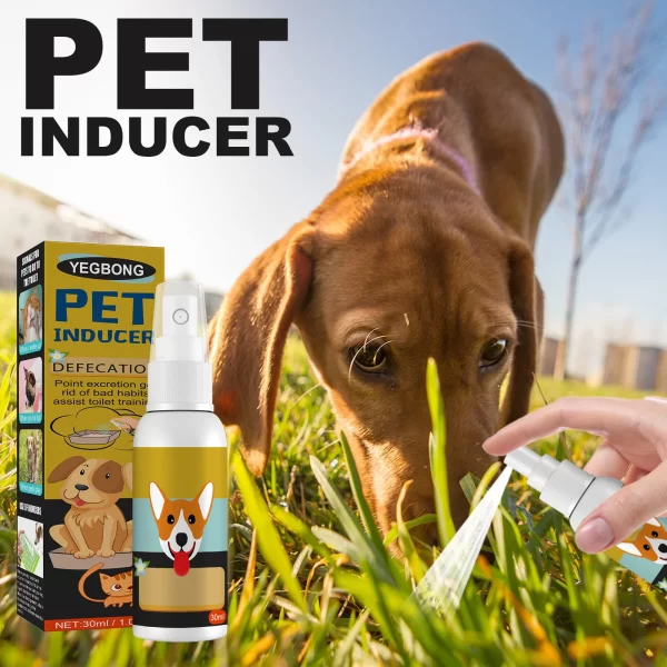 Dog Potty Training Spray Cats Kitten Outdoor Urine Poops Stool Location Helps Puppies Toilet Pet Positioning Defecation Inducer - Image 2