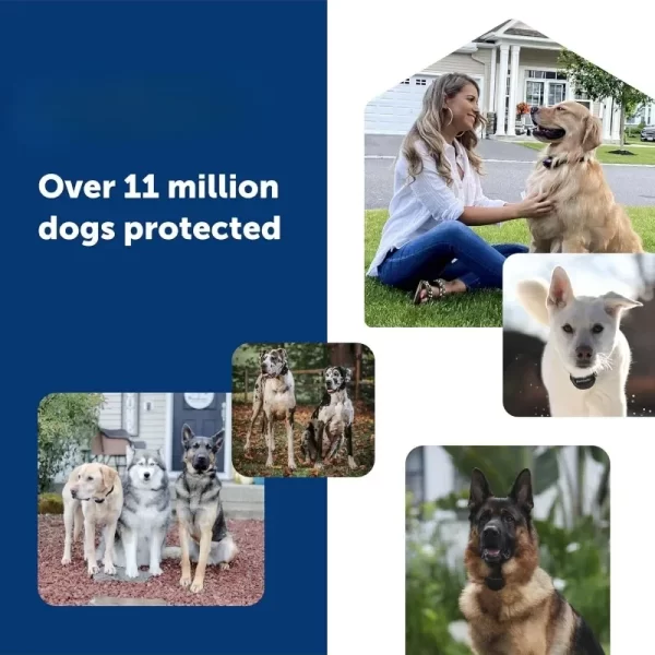 Guardian GPS + Tracking Dog Fence Collar Pet Safe GPS Dog Collar Fence System, GPS Dog Collar Fence System - Image 4