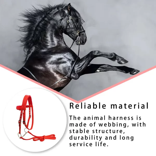 Animal Bridle Headstall Soft Padded Adjustable Harness Reusable Washable Outdoor Snaffle Equipment Gifts Blue S - Image 2