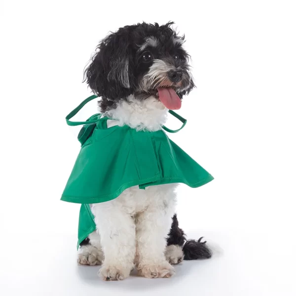 Fashionable Reflective Pet Dog Raincoat Cute Animal Raincoat Pet Hooded Waterproof Jacket Clothes Dog Clothes - Image 4
