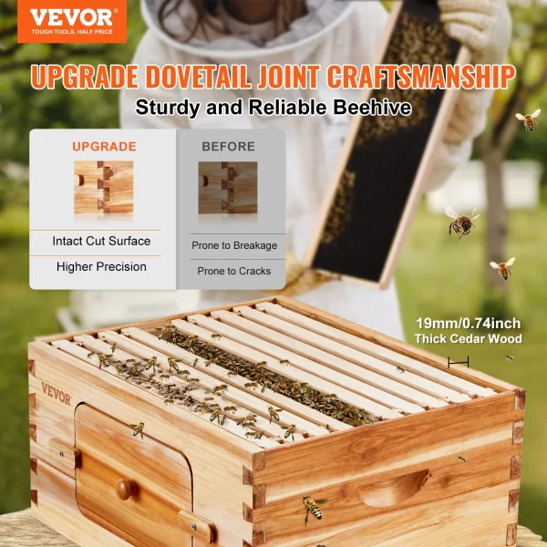 VEVOR Bee Hive Deep Box Starter Kit 100% Beeswax Coated Natural Cedar Wood Langstroth Beehive Kit Transparent Acrylic - Image 4