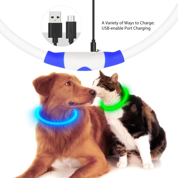 HiGuard LED Dog/Cat Collar USB Rechargeable Glowing Collars Lighted Up Safety Necklace Glow in the Dark - Image 4