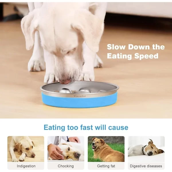Non-Slip Stainless Steel Slow Feeder Bowl Dogs Promotes Healthy Eating Speeds Reduces Bloating Suitable Small Medium Breeds