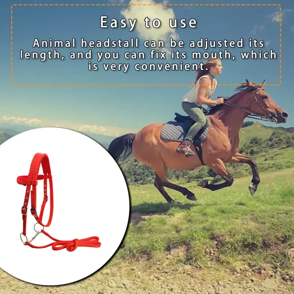 Animal Bridle Headstall Soft Padded Adjustable Harness Reusable Washable Outdoor Snaffle Equipment Gifts Blue S - Image 3