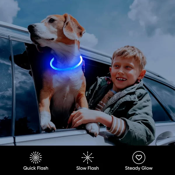 HiGuard LED Dog/Cat Collar USB Rechargeable Glowing Collars Lighted Up Safety Necklace Glow in the Dark - Image 3